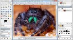 GIMP русская версия