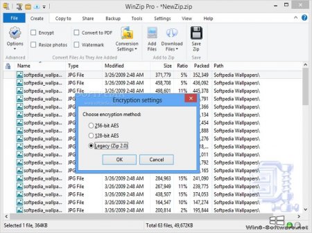 WinZip Pro